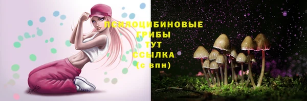 Альфа ПВП Беломорск