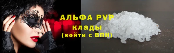 стаф Баксан