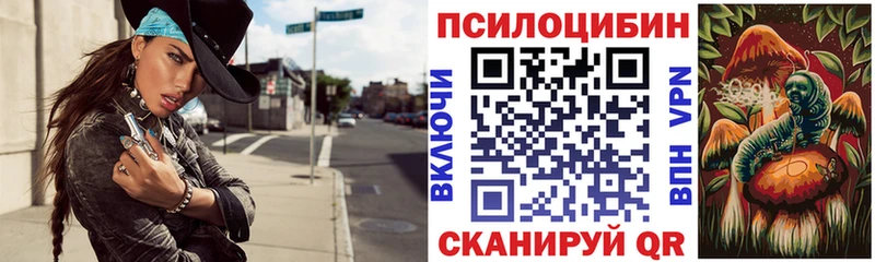 OMG ONION  Торжок  Псилоцибиновые грибы Cubensis  shop Telegram  где найти  