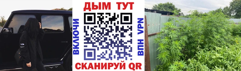 Бошки марихуана гибрид  Торжок 